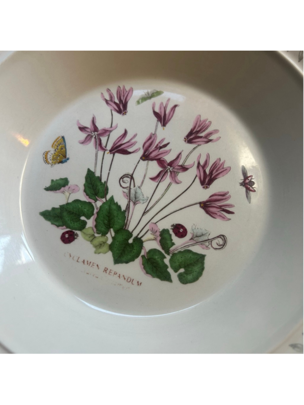 Portmeirion Botanic Garden Ceramic Dinnerware Cereal Soup Bowls 16oz - Picture 5 of 7